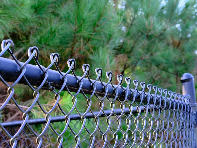 AdobeStock_295842356_Preview